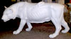 Carousel Tiger 35