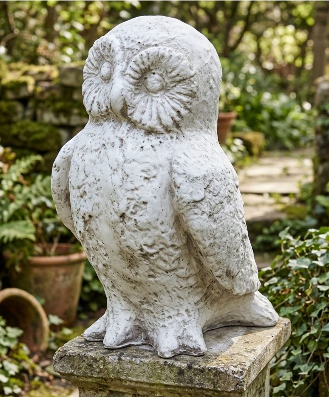 Owen Owl