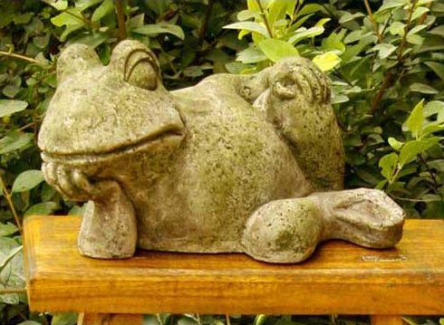 Gossip Frog 6.5