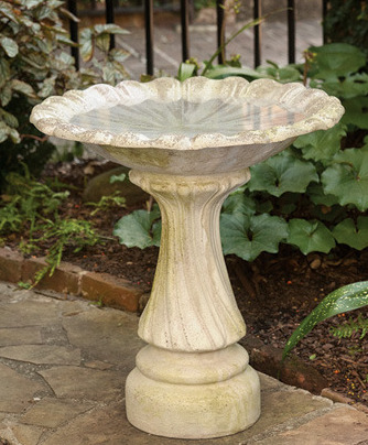 Blooming Birdbath