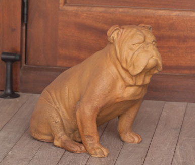 American Bulldog