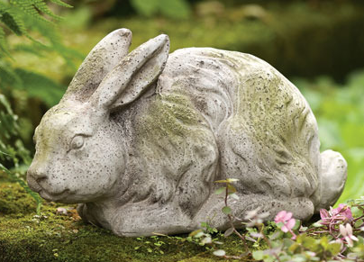 Countryside Rabbit