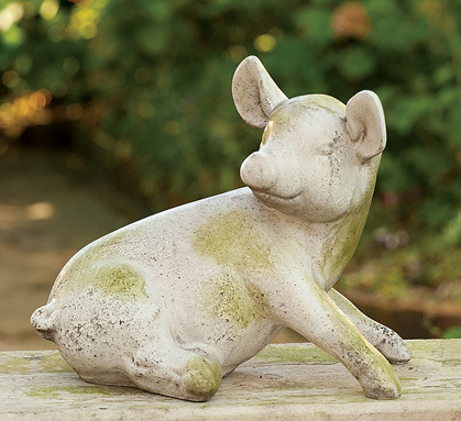 Gomer Pig