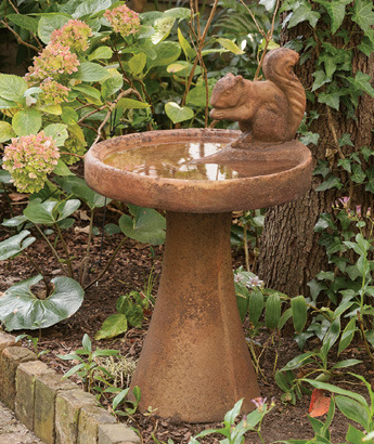 Squirrel Birdbath