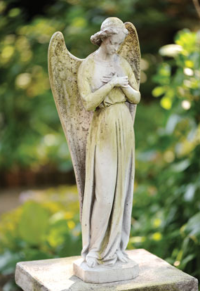 Angel Cari-Cross 25