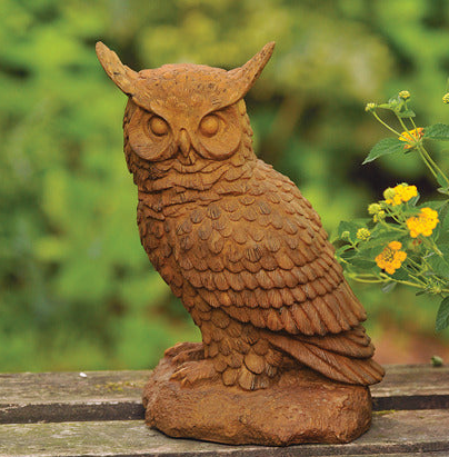 Hoot Owl