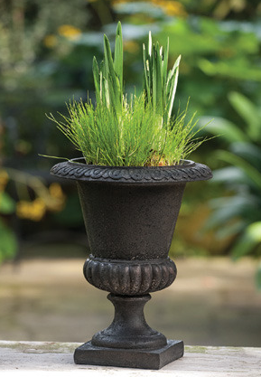 10 Smooth Urn  12.5 H