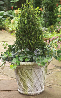 Lattice Pot Large 15