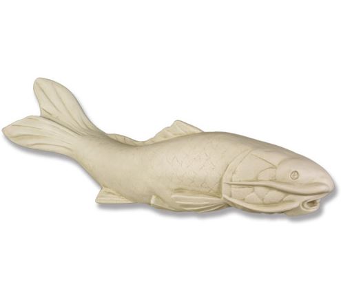 Koi Fish No Base