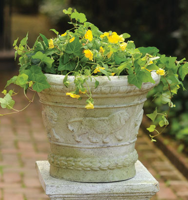 Urn W/Lions Circling 9