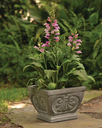 Fleur De Lis Pot-Square 10 H