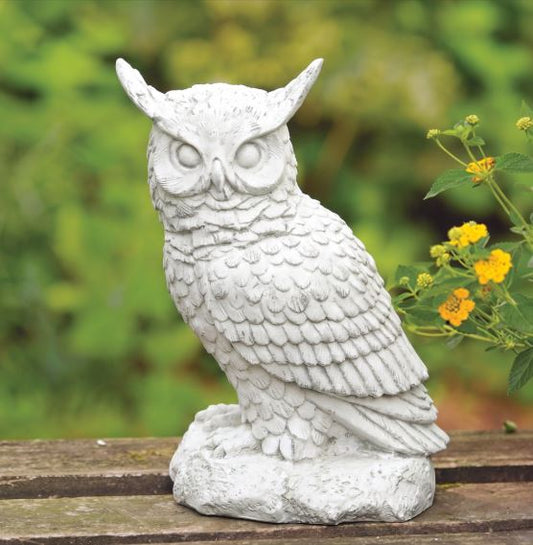 Hoot Owl