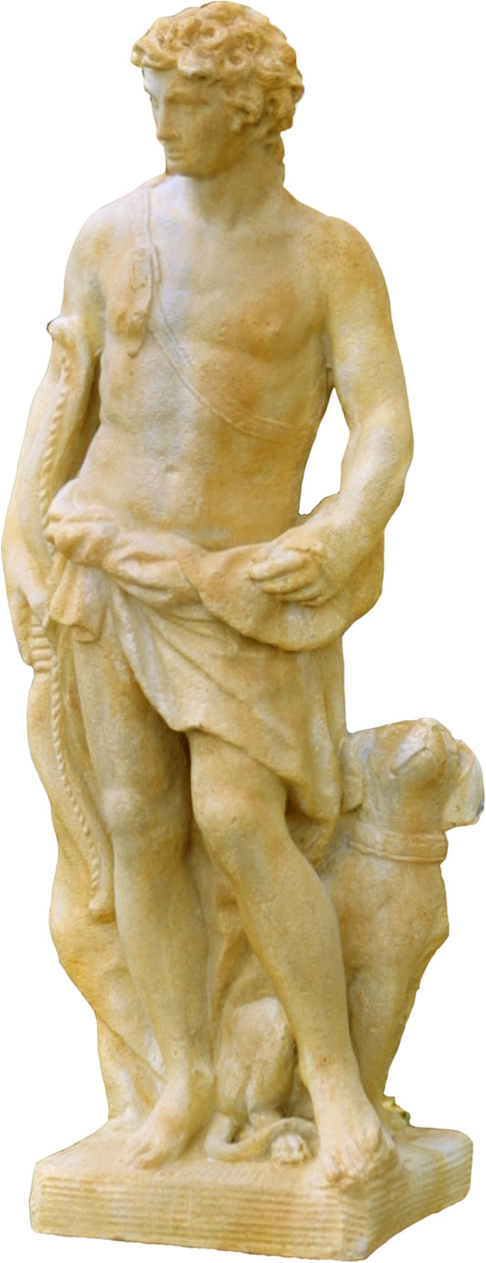 Apollo Of Hunt with Dog 43