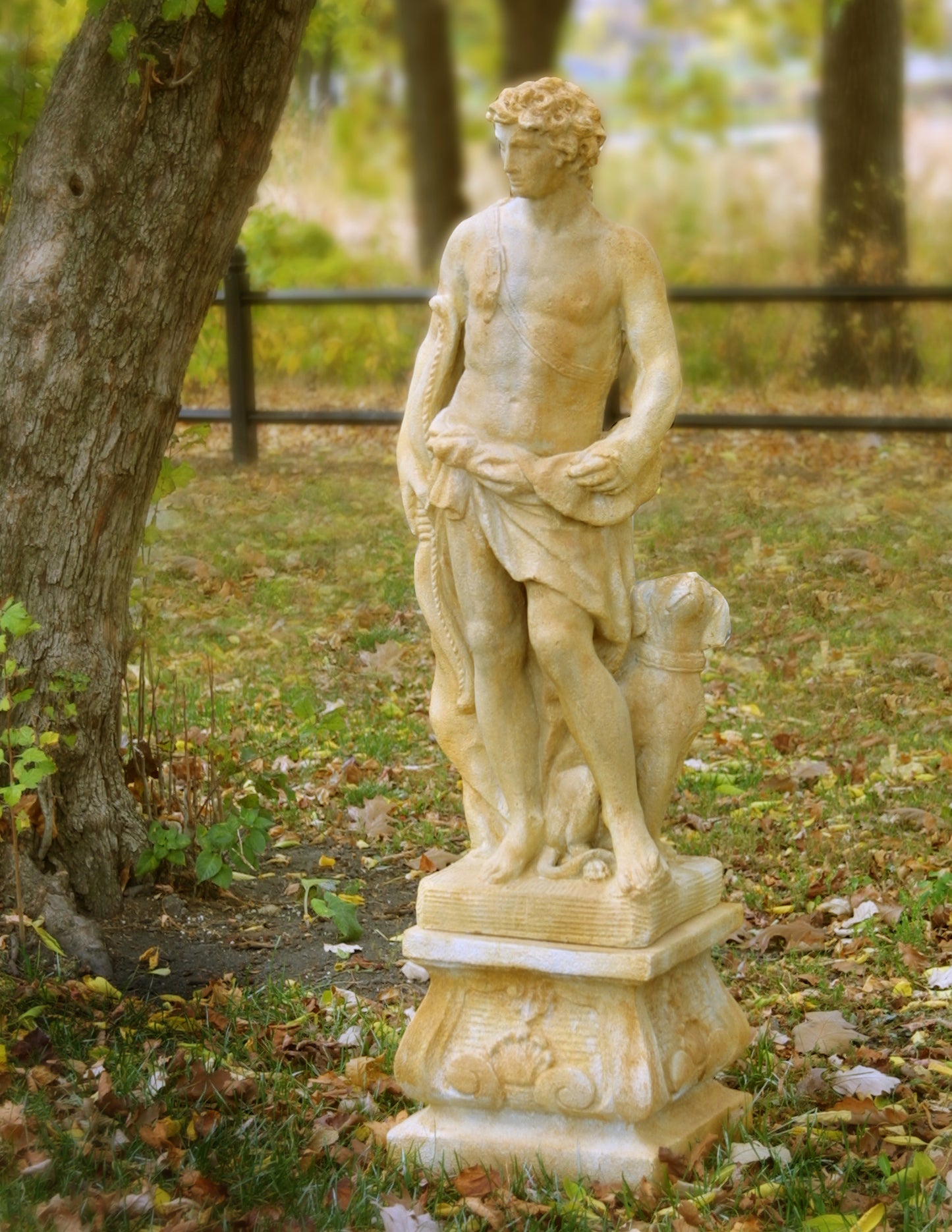 Apollo Of Hunt with Dog 43