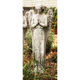 Angel In Cari-Pray 25