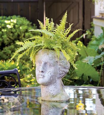 Venus Head Planter 13.5 H