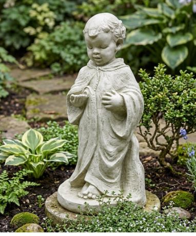 Baby Francis Standing 23 Cppr