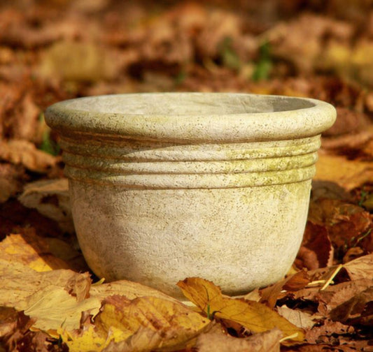Ring Pot
