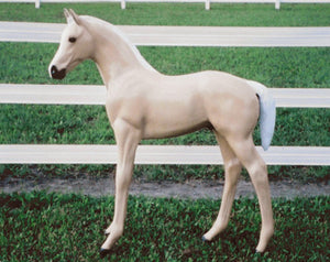 Standing Colt (Horse) 48