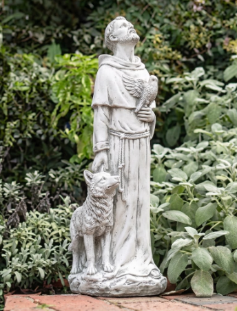 Saint Francis 27  Fr. Brankin