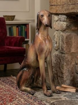 Saluki Dog 39