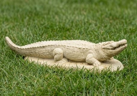 Alligator Smiling 27 W