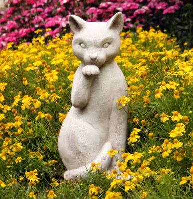Gatto 18