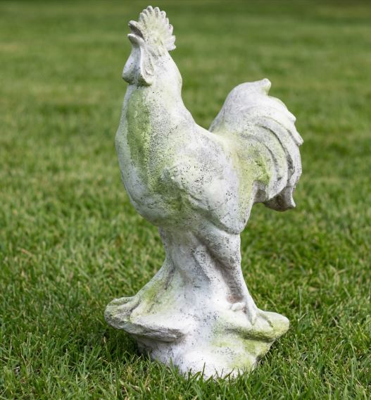 Rooster Crowing 28