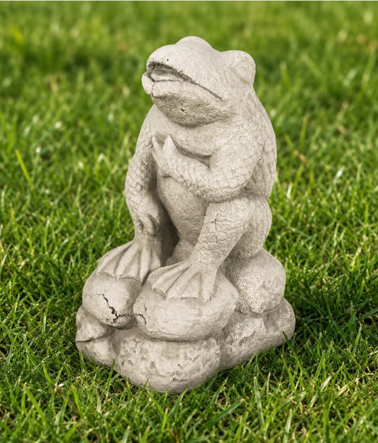 Cracked Up Frog 12