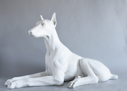 [src: https://orlandi-production.s3.amazonaws.com/products/107811/large.jpg]