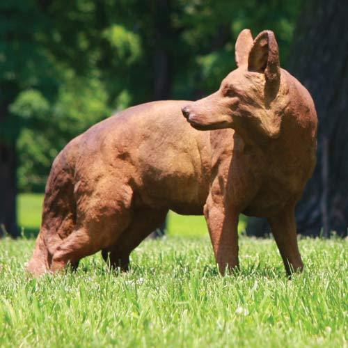 [src: https://orlandi-production.s3.amazonaws.com/products/112450/large.jpg]